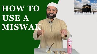 How to Use a Miswak [upl. by Yednarb937]