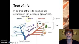 Ordening  Het indelen van organismen [upl. by Ilram]