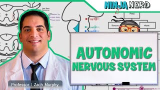 Neurology  Autonomic Nervous System [upl. by Naenaj]