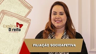 Explica Direito Filiação Socioafetiva  2019 [upl. by Anaer]