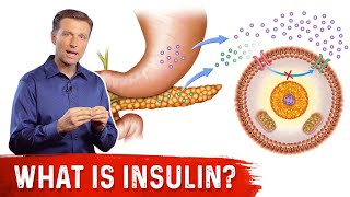 What Is Insulin – Dr Berg [upl. by Yates151]