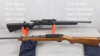 Watch This Video Ruger 1022 and Savage FVSR Review [upl. by Aikemaj]