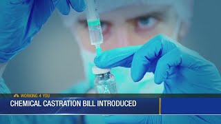 Lawmaker introduces bill to allow chemical castration [upl. by Landri]