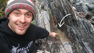 Guy Finds GOLD In Petrified Wood [upl. by Wilonah]