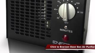 Enerzen Ozon Generator Air Purifier Review [upl. by Eillak27]