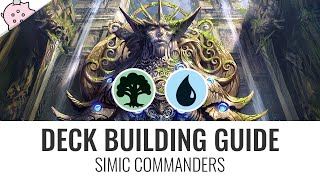 Deck Building Guide  Simic Commanders  Deck Building Tips and Tricks  EDH  MTG  Commander [upl. by Hewitt51]