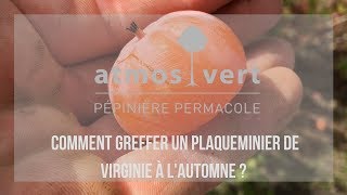 🍂 Comment greffer un Fruitier à l automne [upl. by Dafna]