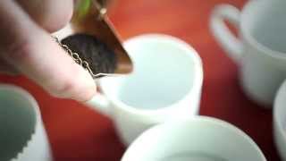 Teaology with Denis Daly the Master Blender at Barrys Tea [upl. by Ocsic]