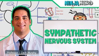 Neurology  Sympathetic Nervous System [upl. by Latsryc445]