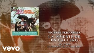 Vicente Fernández  La Muerte de un Gallero Cover Audio [upl. by Ellehcsar425]