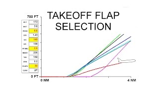 TAKEOFF FLAP SELECTION [upl. by Jessalin]