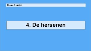 VMBO 3  Regeling  Basisstof 4 De hersenen [upl. by Dietsche]