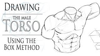 Drawing the Male Torso  Boxing in Method [upl. by Ecirted]