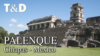 Palenque Tourist Guide 🇲🇽 Mexico Video Guide  Travel amp Discover [upl. by Ainehta]