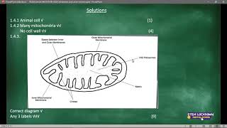 Grade 10 Life Science 5 June 2020  Revision [upl. by Daugherty]