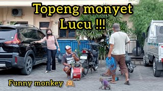 Topeng monyet lucu [upl. by Noak387]