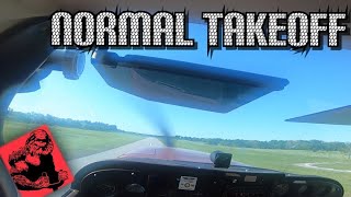 How to Perform a Normal Takeoff Private Pilot Flight Lesson [upl. by Nylcaj]