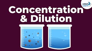 Dilute or Concentrated AcidsBases  Dont Memorise [upl. by Zela132]