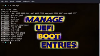 How to Change Your EFI Boot Entries using efibootmgr in Linux [upl. by Garris716]