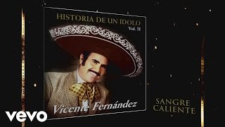 Vicente Fernández  Sangre Caliente Cover Audio [upl. by Bittner]