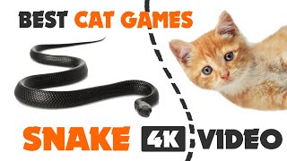 CAT GAMES hunt SNAKE ON SCREEN  video for cats 1 HOUR 4K video [upl. by Notlok415]