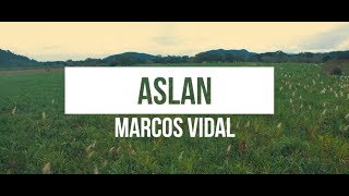 Marcos Vidal  Aslan Video Lyrics Oficial [upl. by Ardelis]