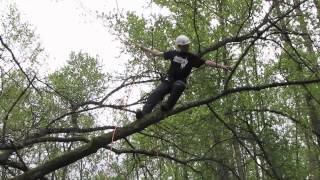 Branchwalking  Basic tree climbing techniques [upl. by Theodosia669]