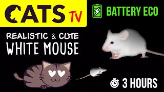 CATS TV  The BEST Mouse Game for Cats 🐭 Battery ECO 🔋 3 HOURS [upl. by Lezley]