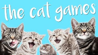 BEST GAME EVER MADE  The Cat Games [upl. by Mharba]