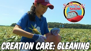 Creation Care Gleaning  The Superbook Show [upl. by Mashe]