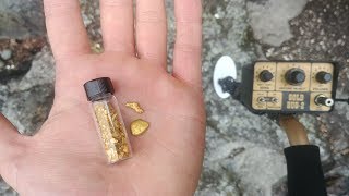 How To Find GOLD Using the Fisher Gold Bug 2 [upl. by Reaht]