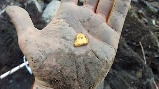 I JUST FOUND MY RECORD BREAKING GOLD NUGGET [upl. by Lanette409]