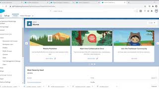 Salesforce Testing Salesforce Interview questions about Profiles [upl. by Ahsilrac]