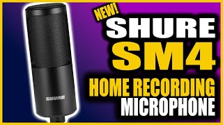 Reviewing The New Shure SM4 Microphone [upl. by Jenda]