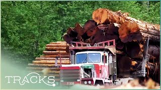 TIMBER Real Lumberjacks Of Canada [upl. by Skye]