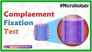 Complement Fixation test  Microbiology animations [upl. by Hulton]