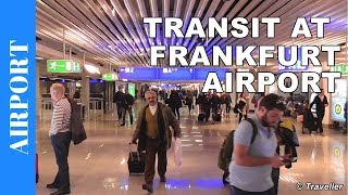 TRANSIT WALK AT FRANKFURT Airport FRA Terminal 1  Connection Flight Transfer Arriving amp Departing [upl. by Irep]