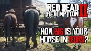 Red Dead Redemption 2 Horses  Size Comparison [upl. by Heffron]