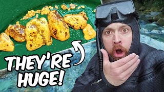 Diver Finds Where The BIG GOLD Nuggets Are [upl. by Nevah]